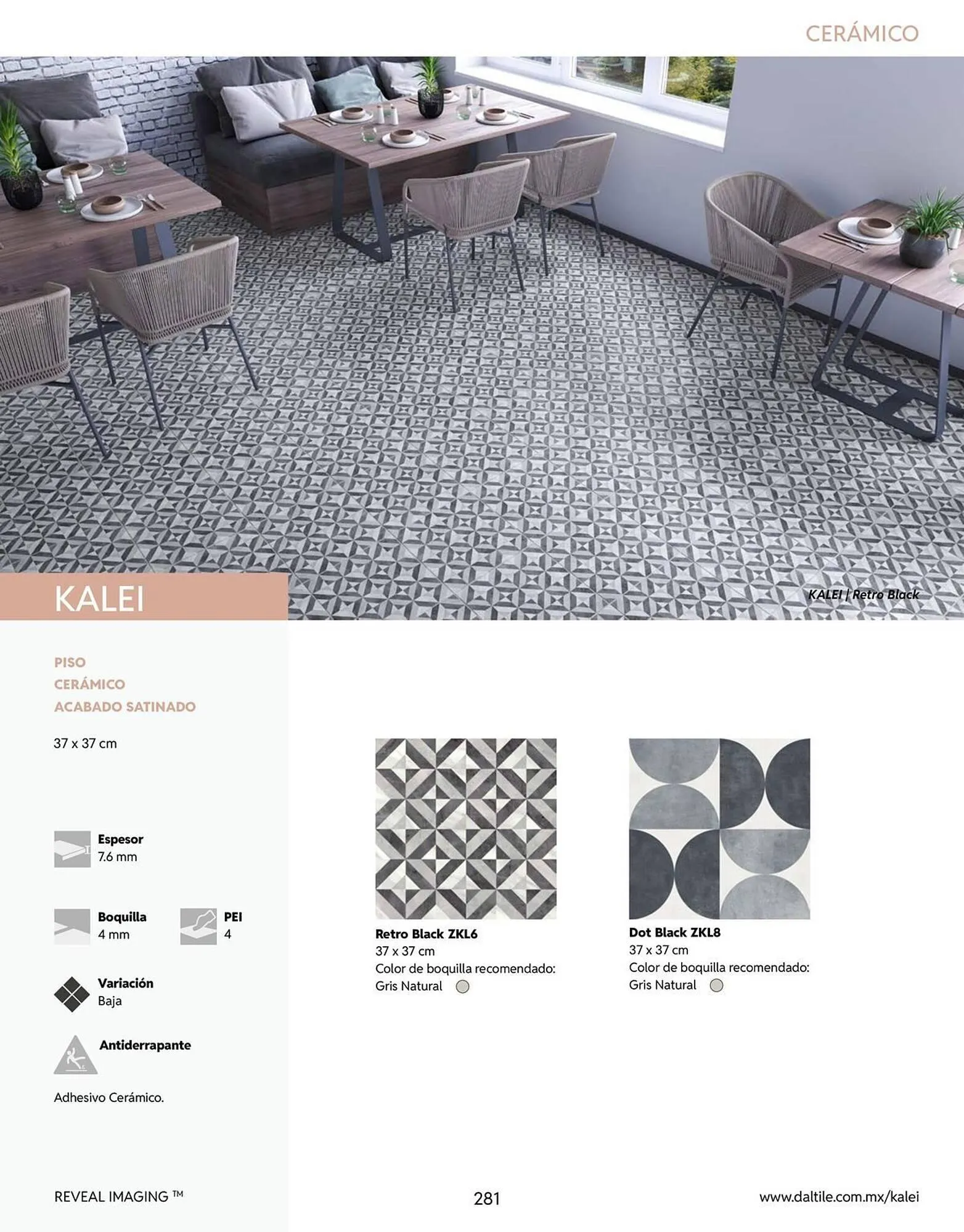 Catálogo de Catálogo Daltile 13 de enero al 31 de diciembre 2026 - Pagina 281