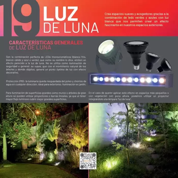 Catálogo de Catálogo 2024 10 de octubre al 31 de enero 2025 - Pagina 270