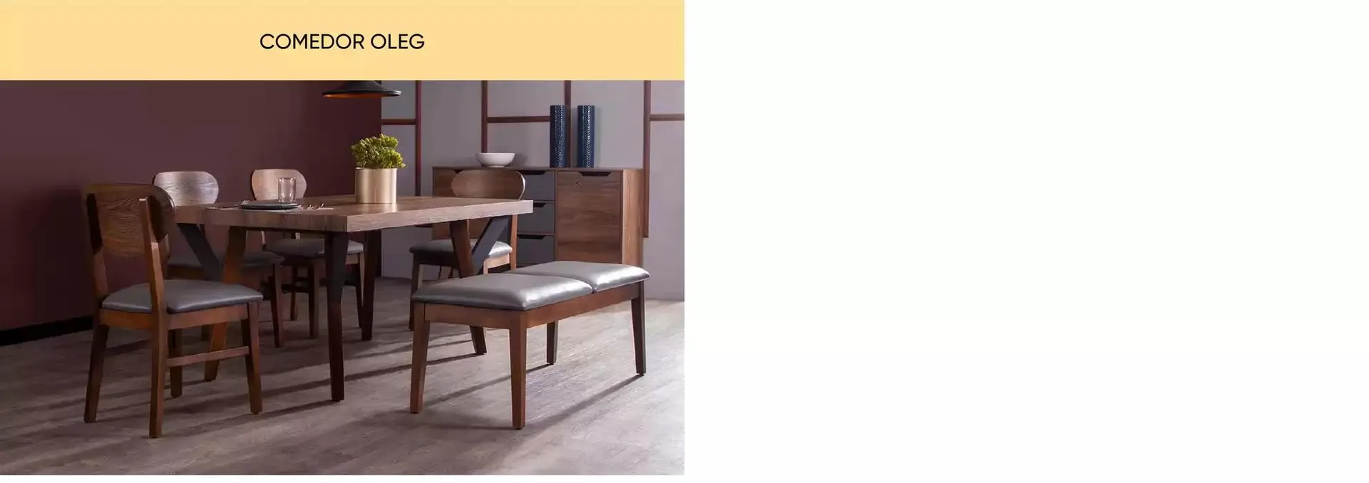 Catálogo de Muebles Dico Life Centro 8 de enero al 31 de enero 2025 - Pagina 2