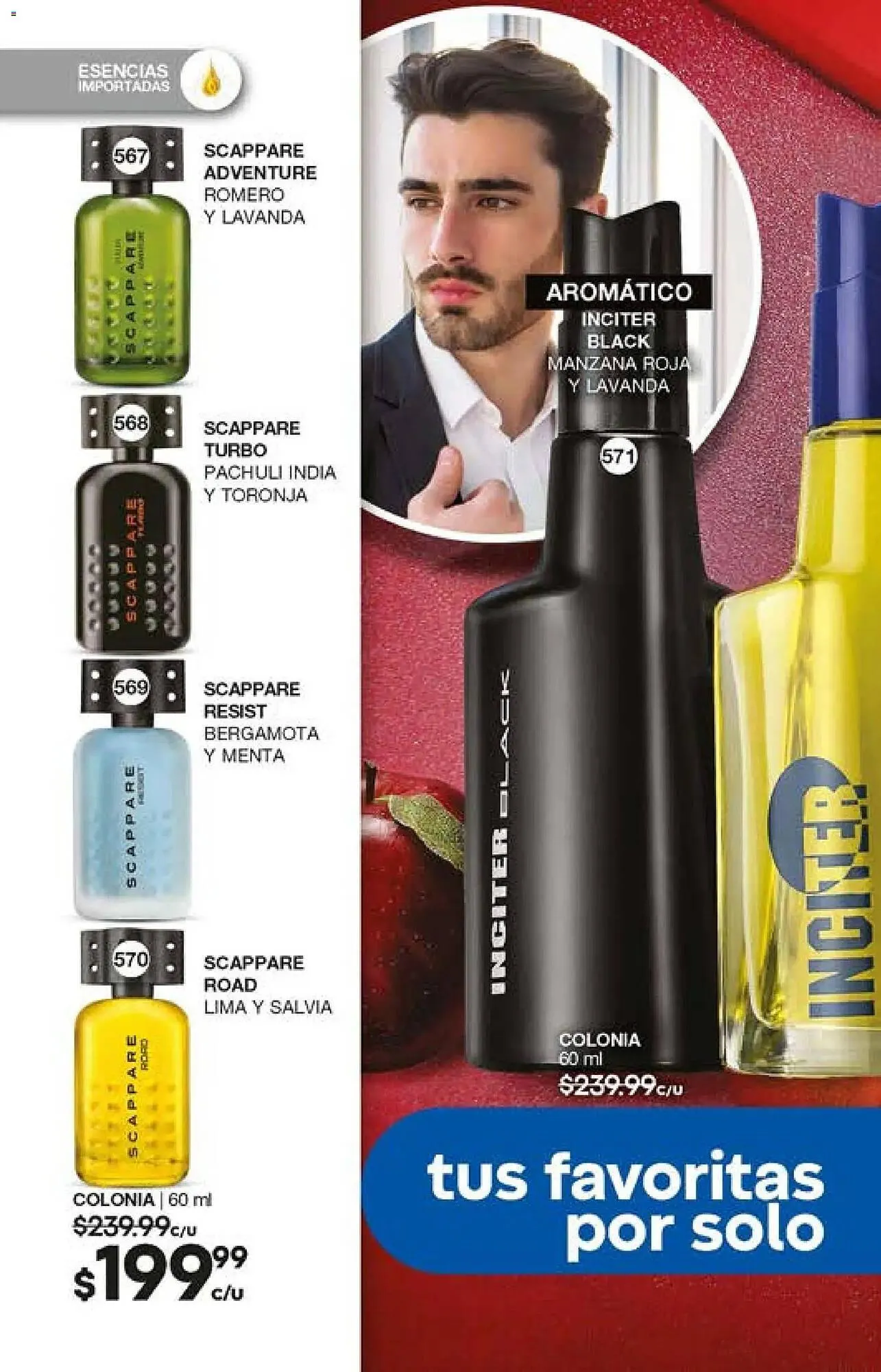 Catálogo de Catálogo Fuller 29 de octubre al 30 de noviembre 2025 - Pagina 190