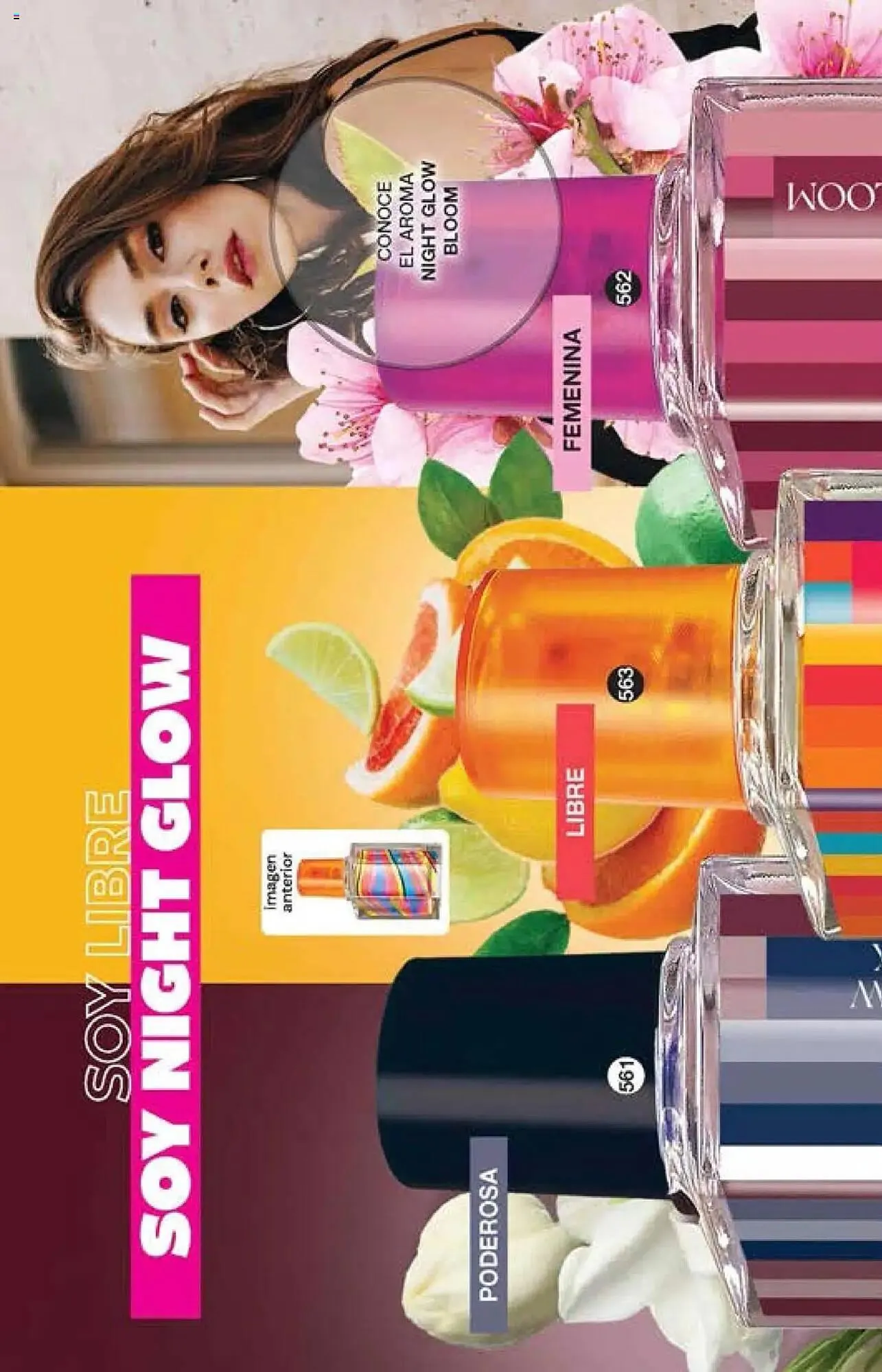 Catálogo de Catálogo Fuller 15 de octubre al 5 de noviembre 2025 - Pagina 194