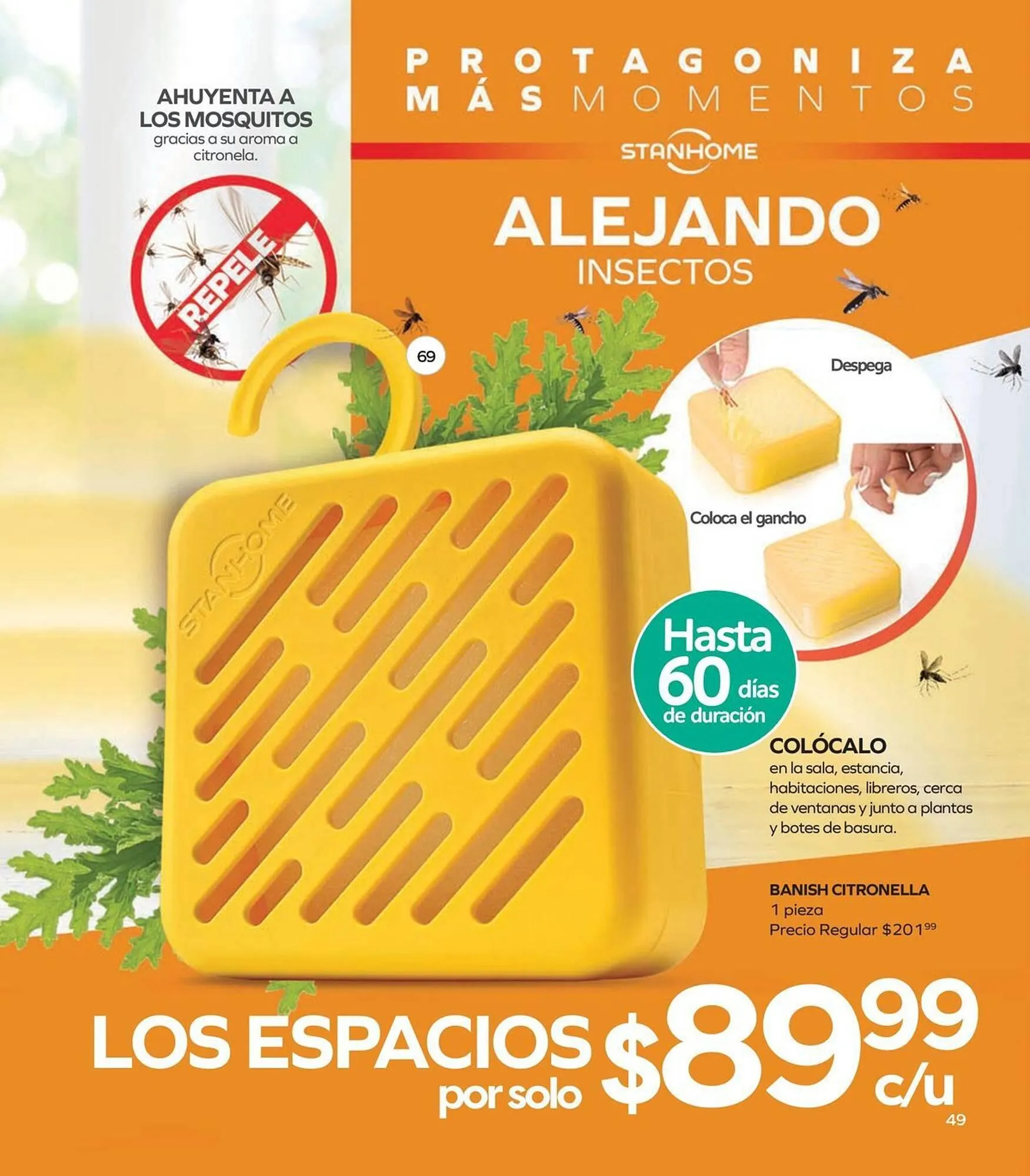 Catálogo de Catálogo Stanhome 17 de diciembre al 3 de enero 2026 - Pagina 51