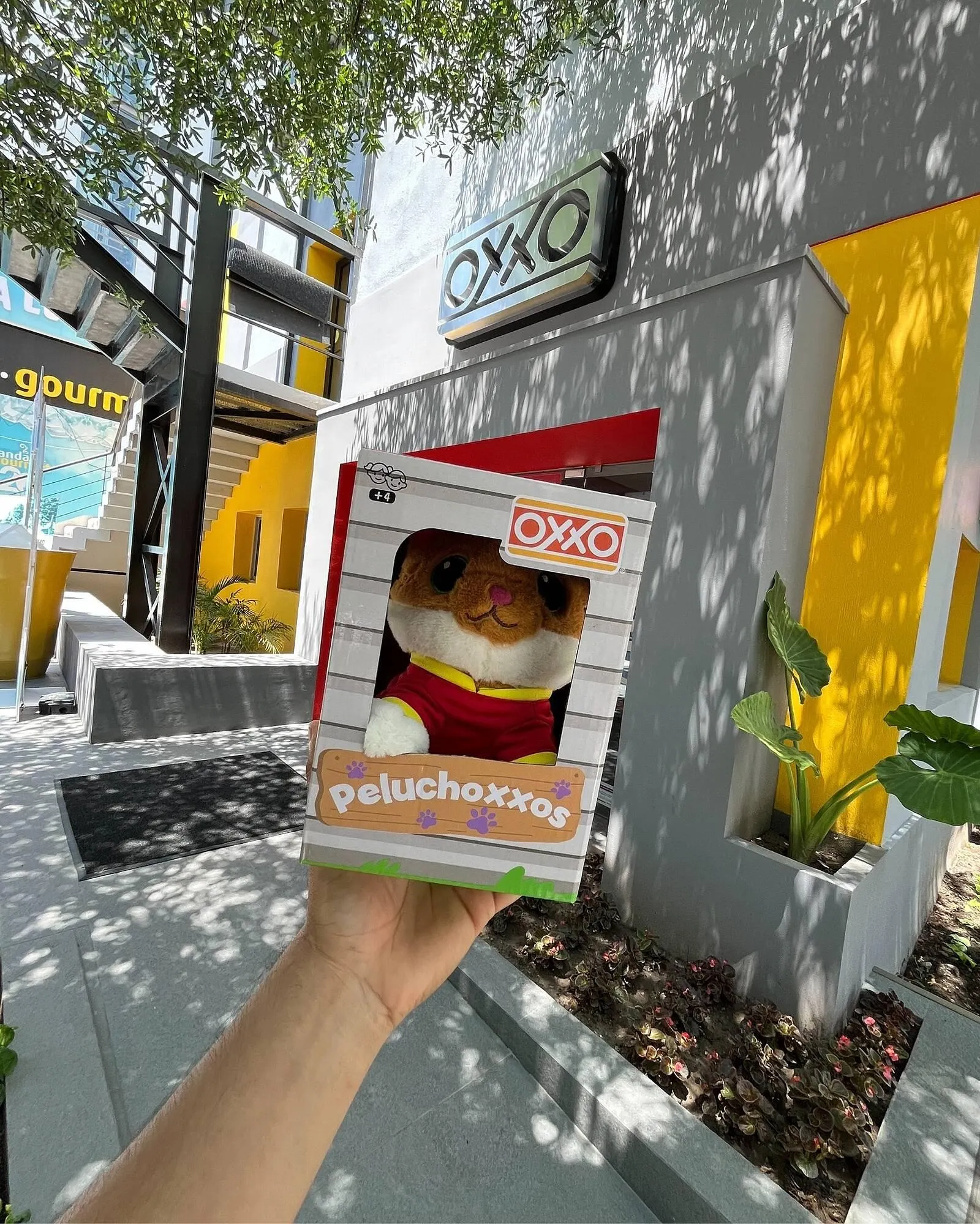 Catálogo de Catálogo OXXO 8 de julio al 8 de julio 2025 - Pagina 1