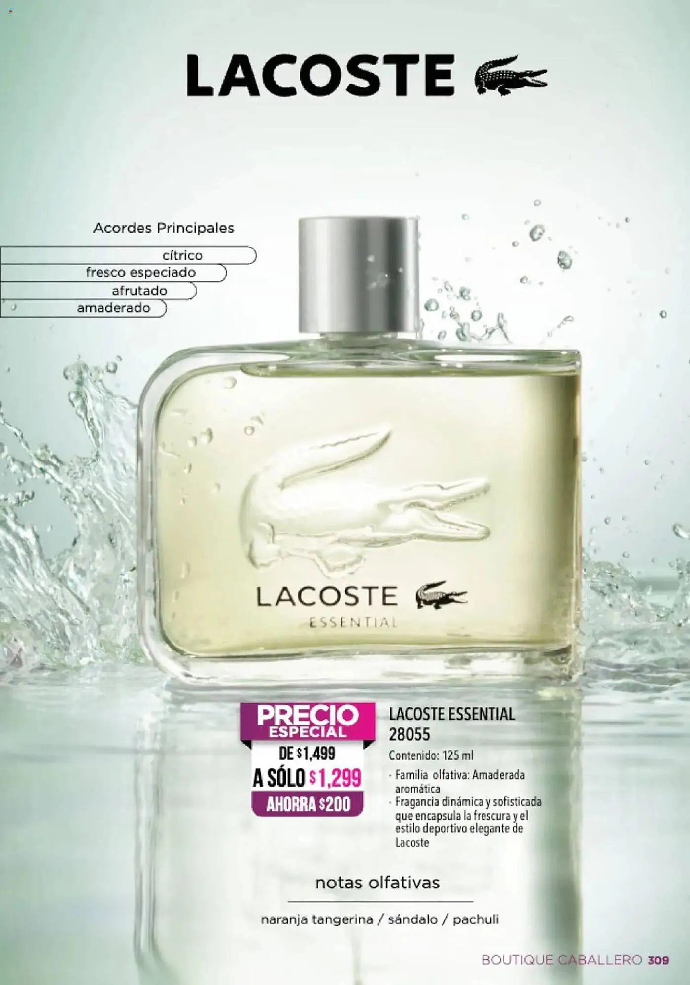 Catálogo de Catálogo Ilusión 1 de abril al 1 de mayo 2026 - Pagina 311