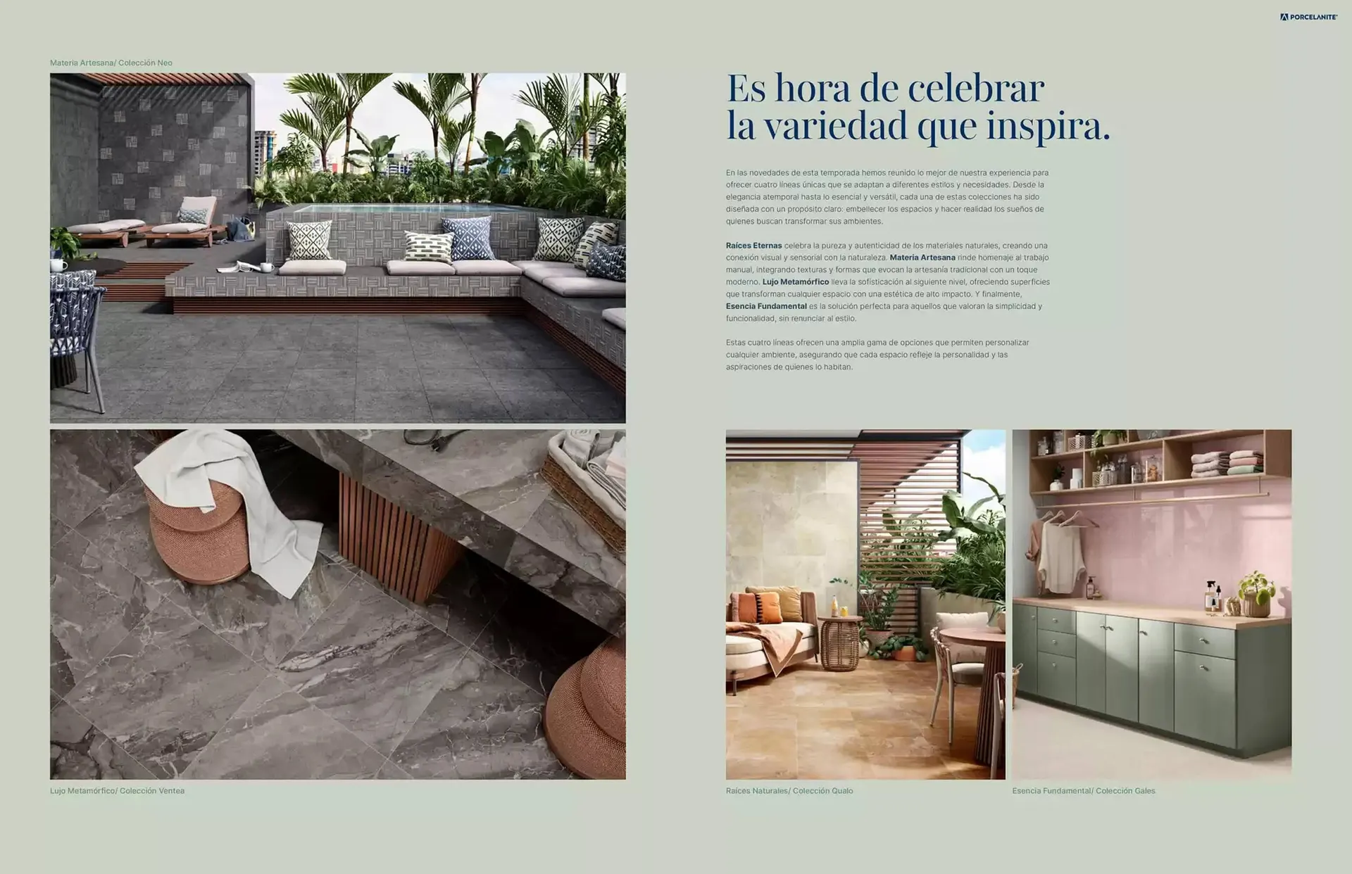 Catálogo de Catálogo Porcelanite 28 de marzo al 31 de diciembre 2025 - Pagina 3