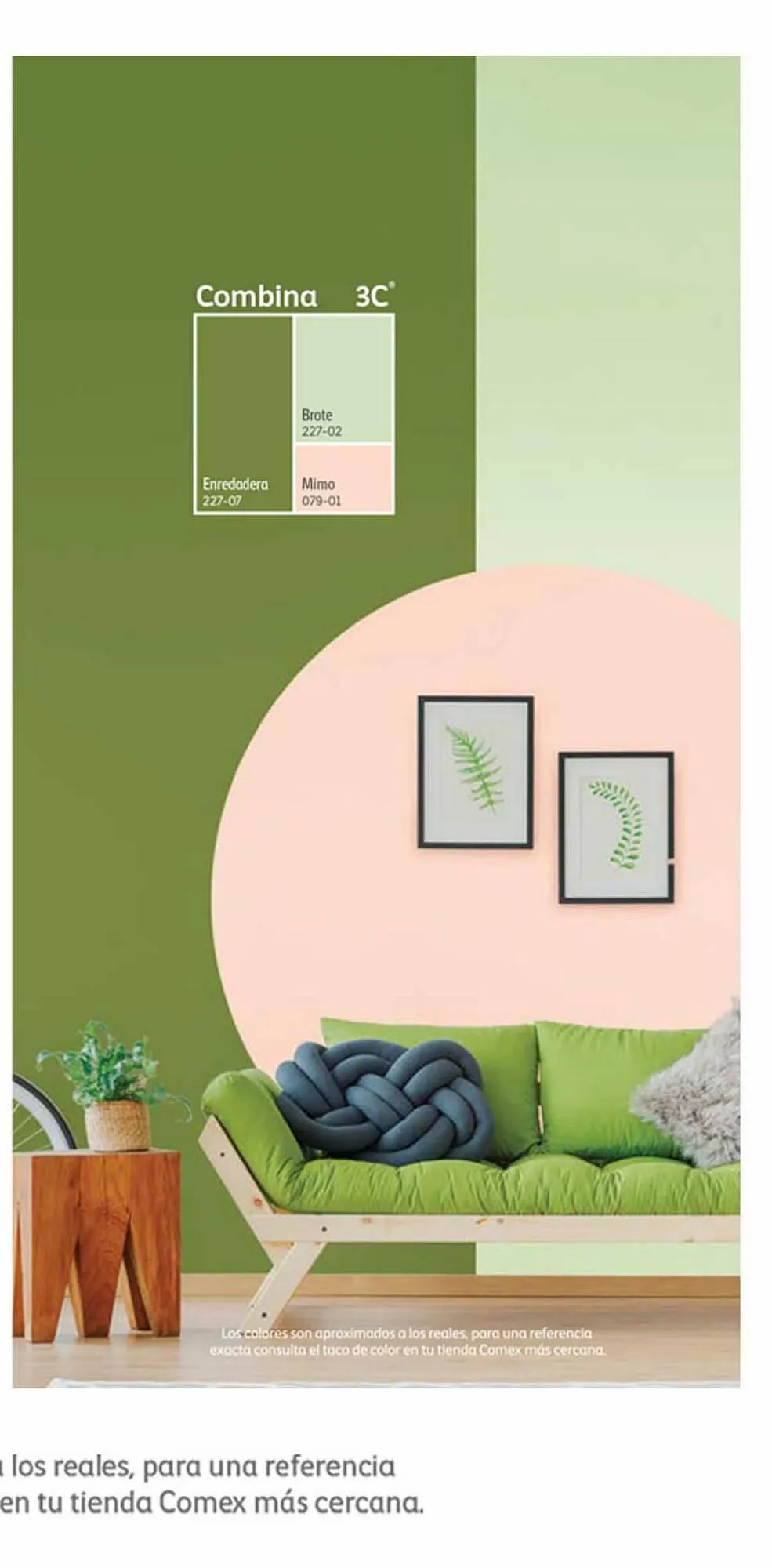 Catálogo de Catálogo Comex 16 de mayo al 15 de agosto 2023 - Pagina 5