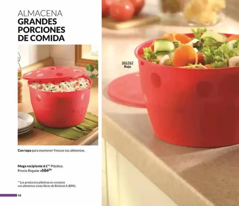 Catálogo de Avon Casa & Estilo C5 6 de febrero al 31 de diciembre 2025 - Pagina 48