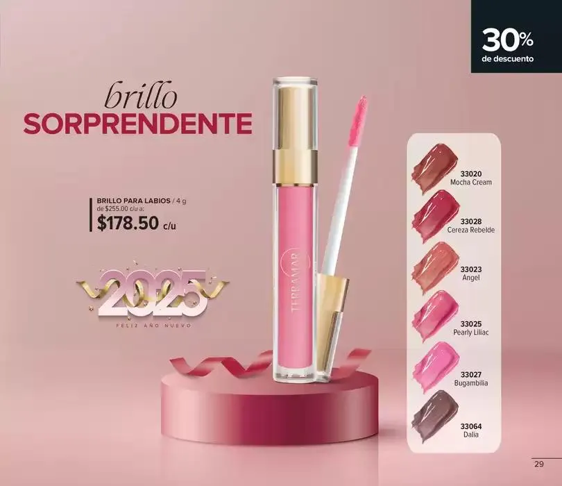 Catálogo de Folleto de mes 6 de enero al 31 de enero 2025 - Pagina 29