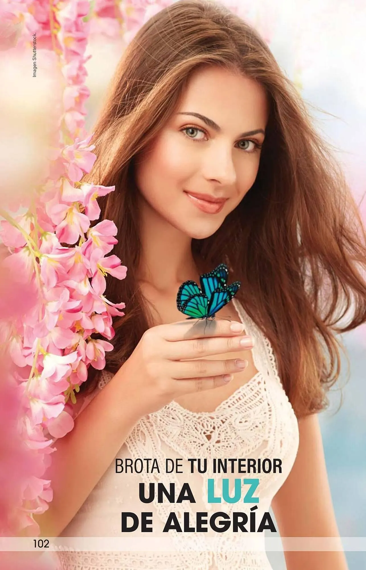 Catálogo de Catálogo Arabela 28 de agosto al 19 de septiembre 2025 - Pagina 104