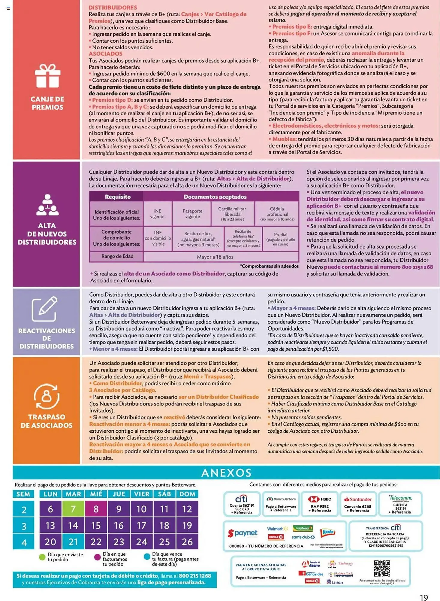 Catálogo de Catálogo BetterWare 1 de enero al 31 de enero 2025 - Pagina 19