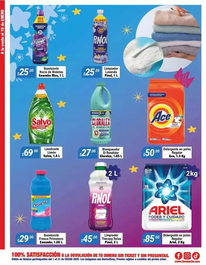 Catálogo de Volante Temporal Enero 7 de enero al 31 de enero 2025 - Pagina 8
