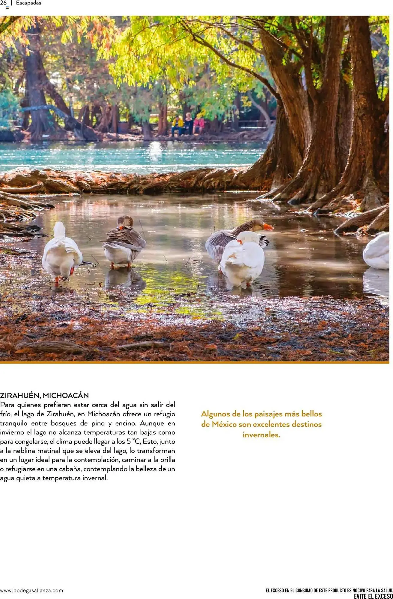 Catálogo de Folleto Bodegas Alianza 1 de octubre al 1 de enero 2026 - Pagina 28