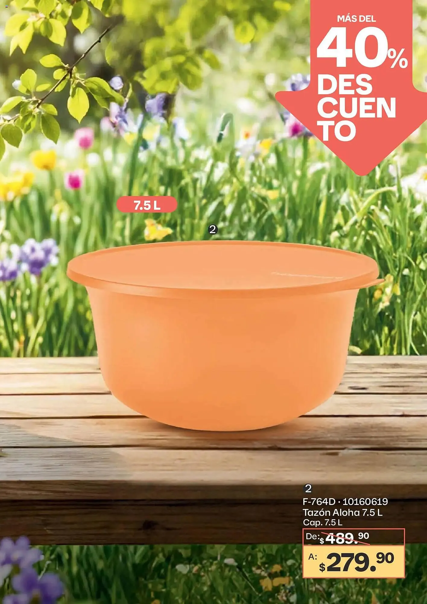 Catálogo de Catálogo Tupperware 23 de febrero al 23 de marzo 2026 - Pagina 19