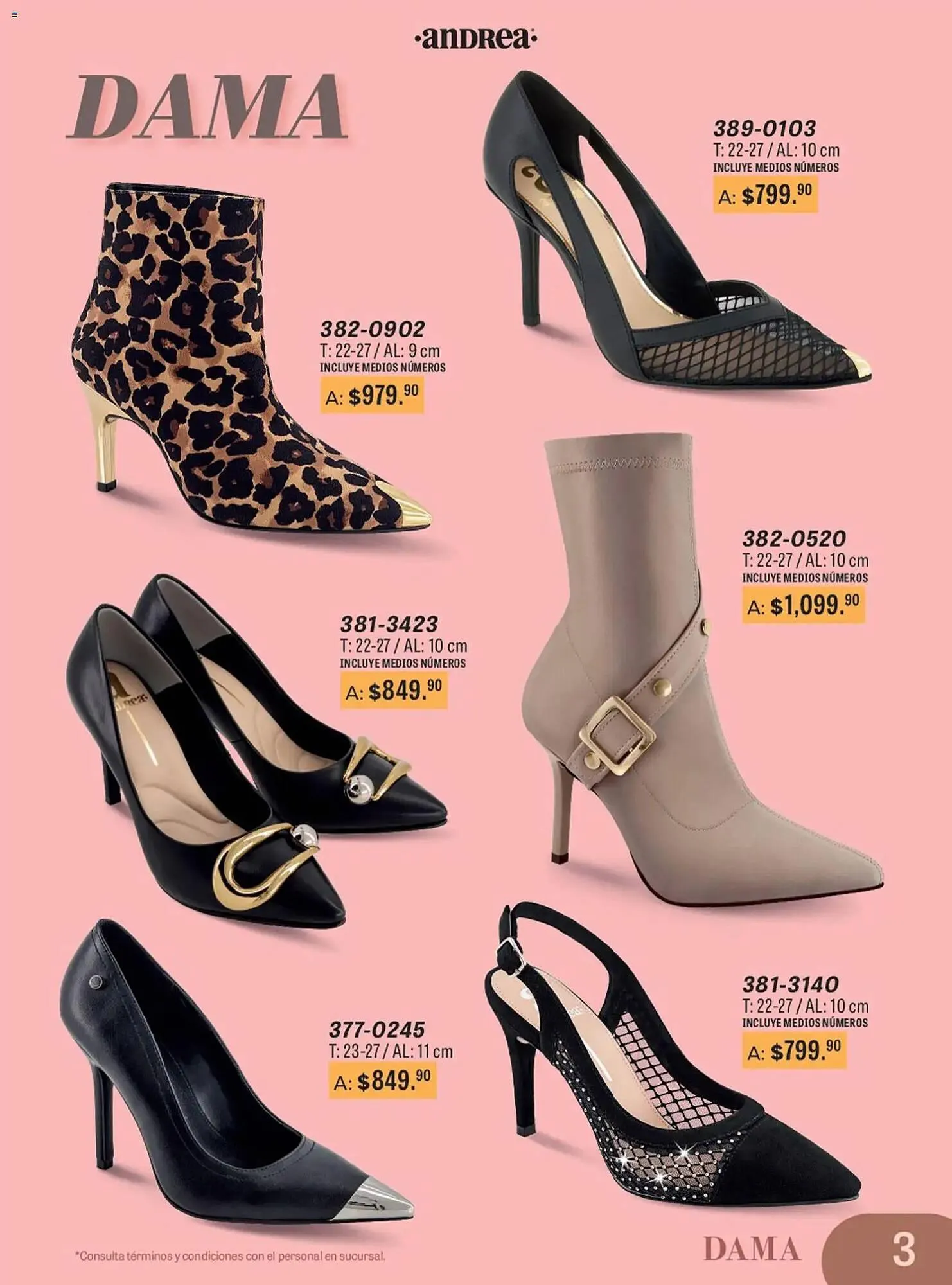 Catálogo de Catálogo Andrea 11 de enero al 28 de junio 2026 - Pagina 3