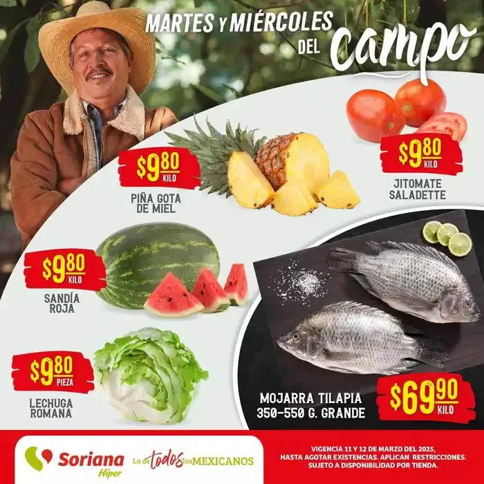 Catálogo de Martes y Miércoles del Campo Híper Nacional 11 de marzo al 12 de marzo 2025 - Pagina 1