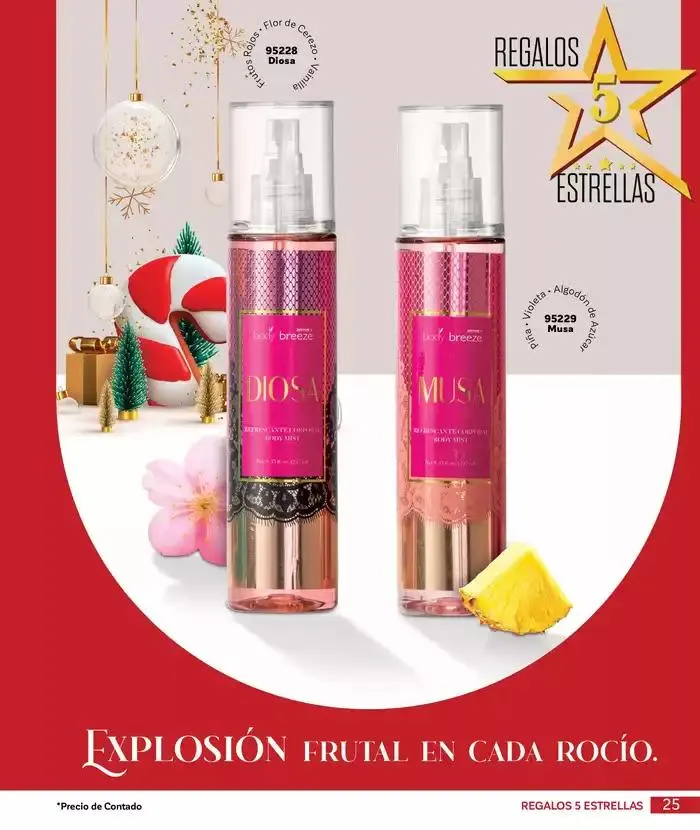 Catálogo de La esencia que transforma. 4 de diciembre al 31 de diciembre 2024 - Pagina 25