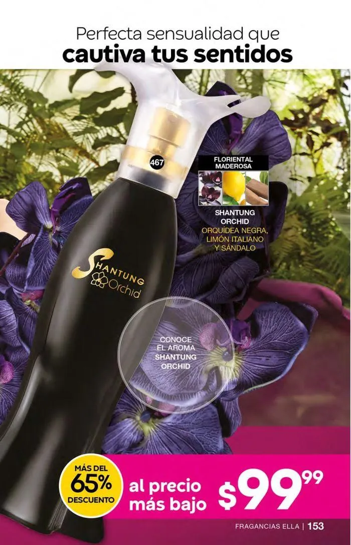 Catálogo de Fuller CAMPAÑA 10 23 de agosto al 10 de septiembre 2024 - Pagina 59