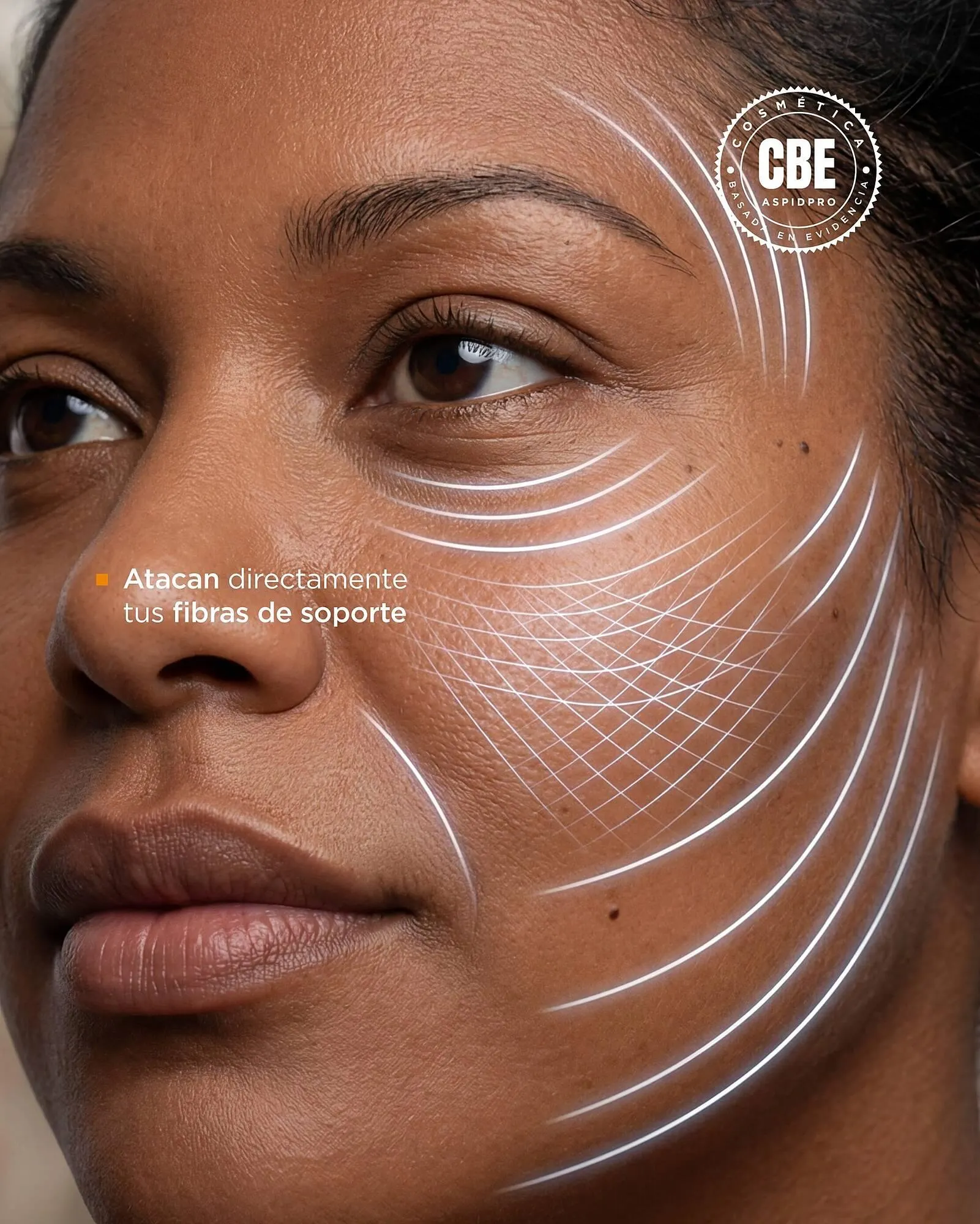 Catálogo de Catálogo AspidPro 16 de abril al 20 de abril 2026 - Pagina 3