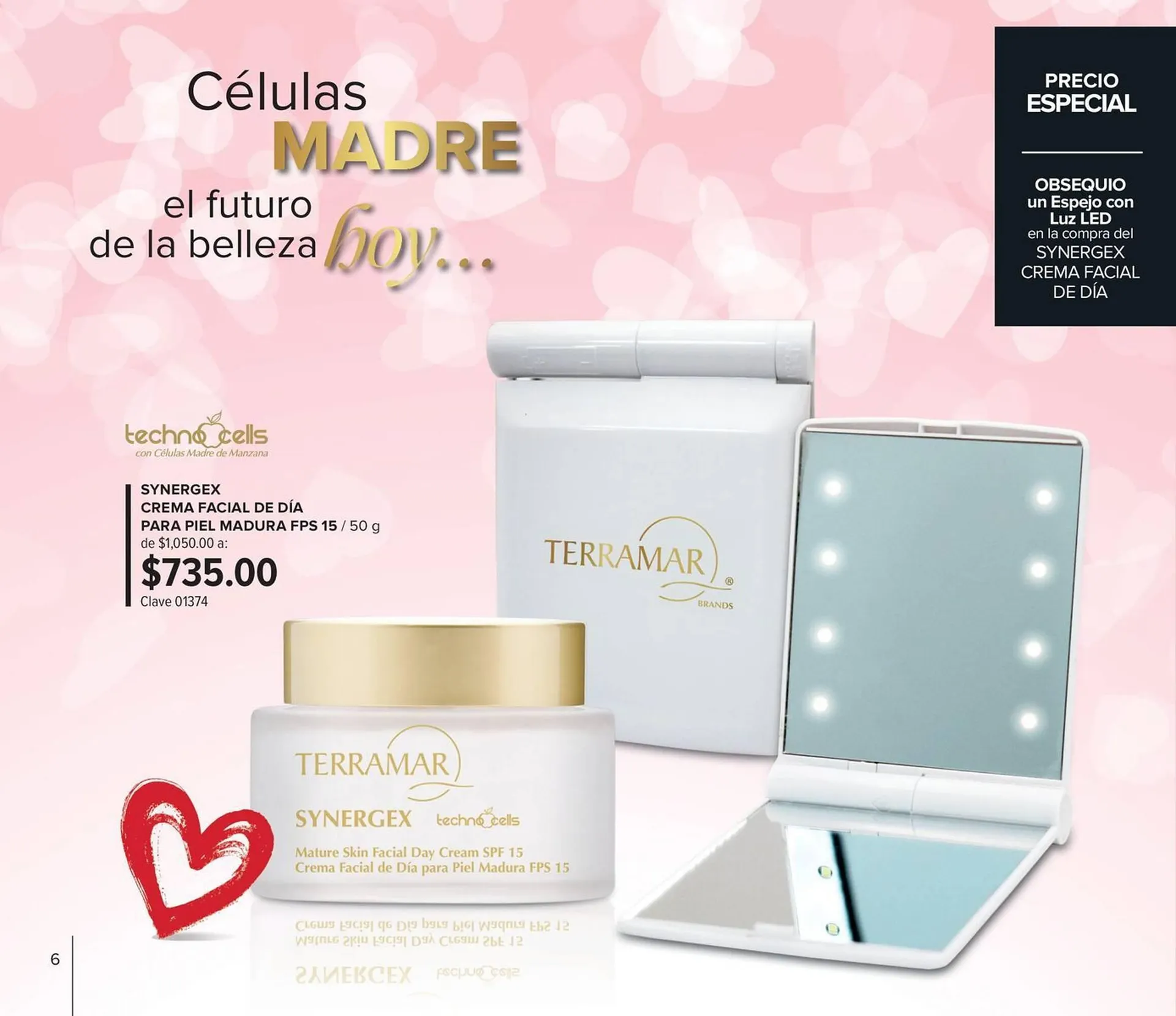 Catálogo de Catálogo Terramar Brands 4 de enero al 31 de enero 2024 - Pagina 6