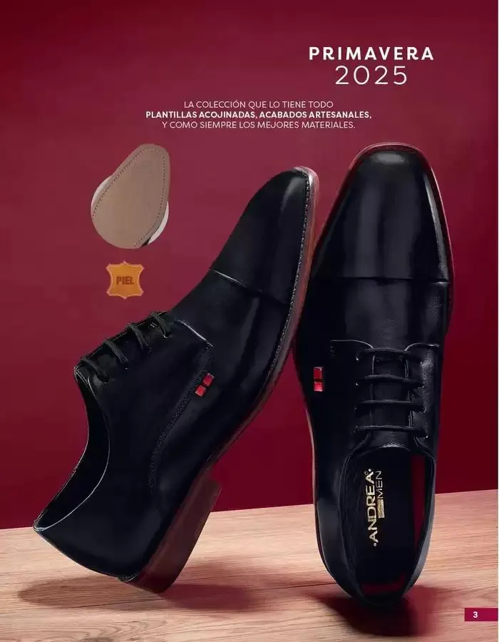 Catálogo de Gangas y ofertas actuales 1 de marzo al 31 de marzo 2025 - Pagina 3