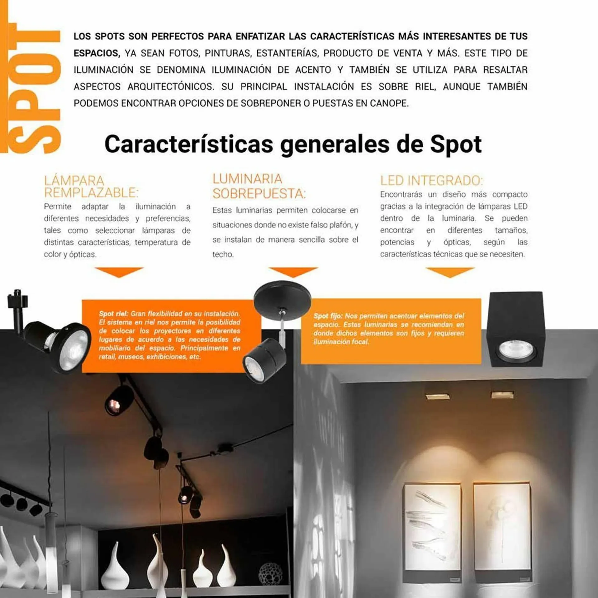 Catálogo de Catálogo Tecnolite 31 de enero al 6 de febrero 2026 - Pagina 49