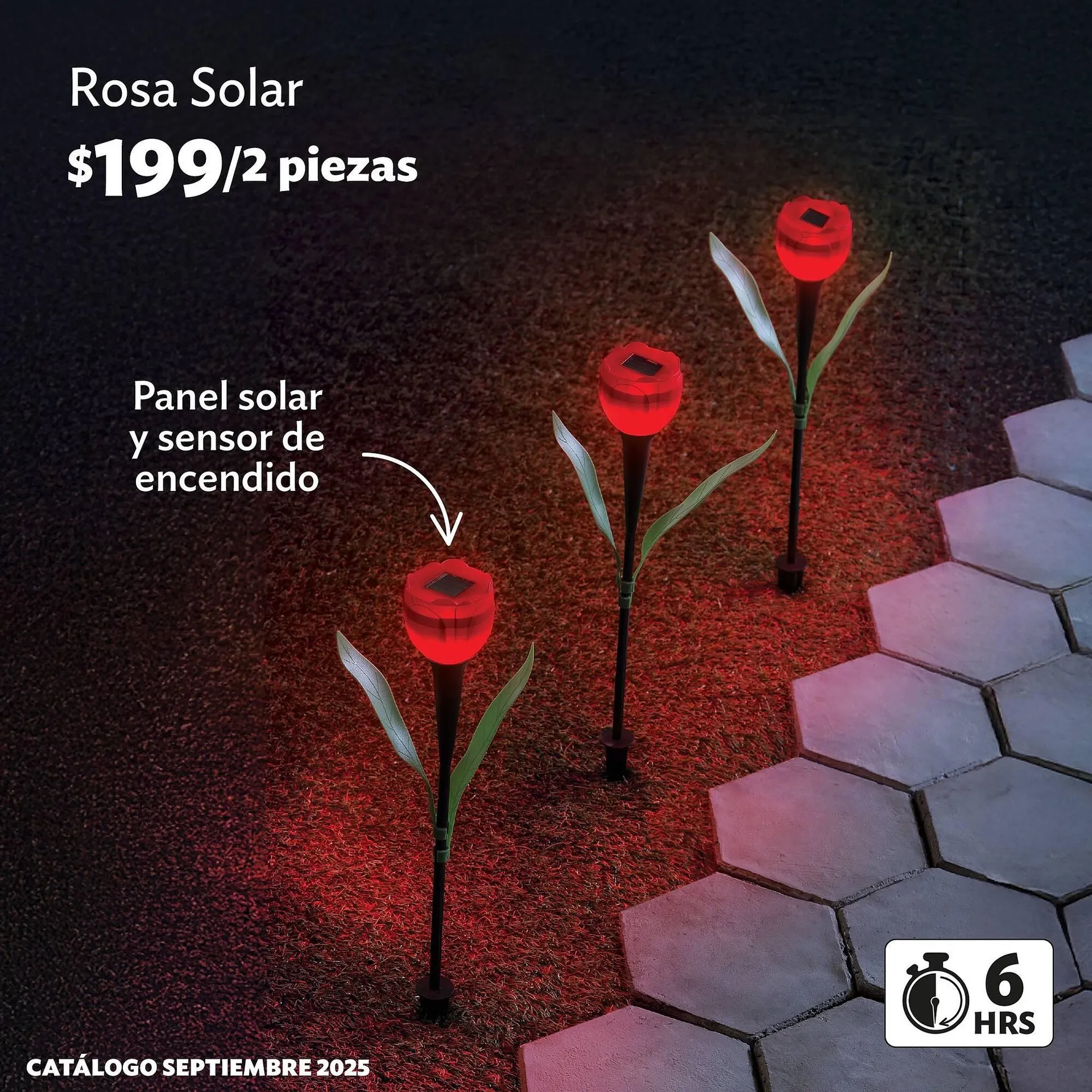 Catálogo de Catálogo BetterWare 9 de septiembre al 30 de septiembre 2025 - Pagina 4