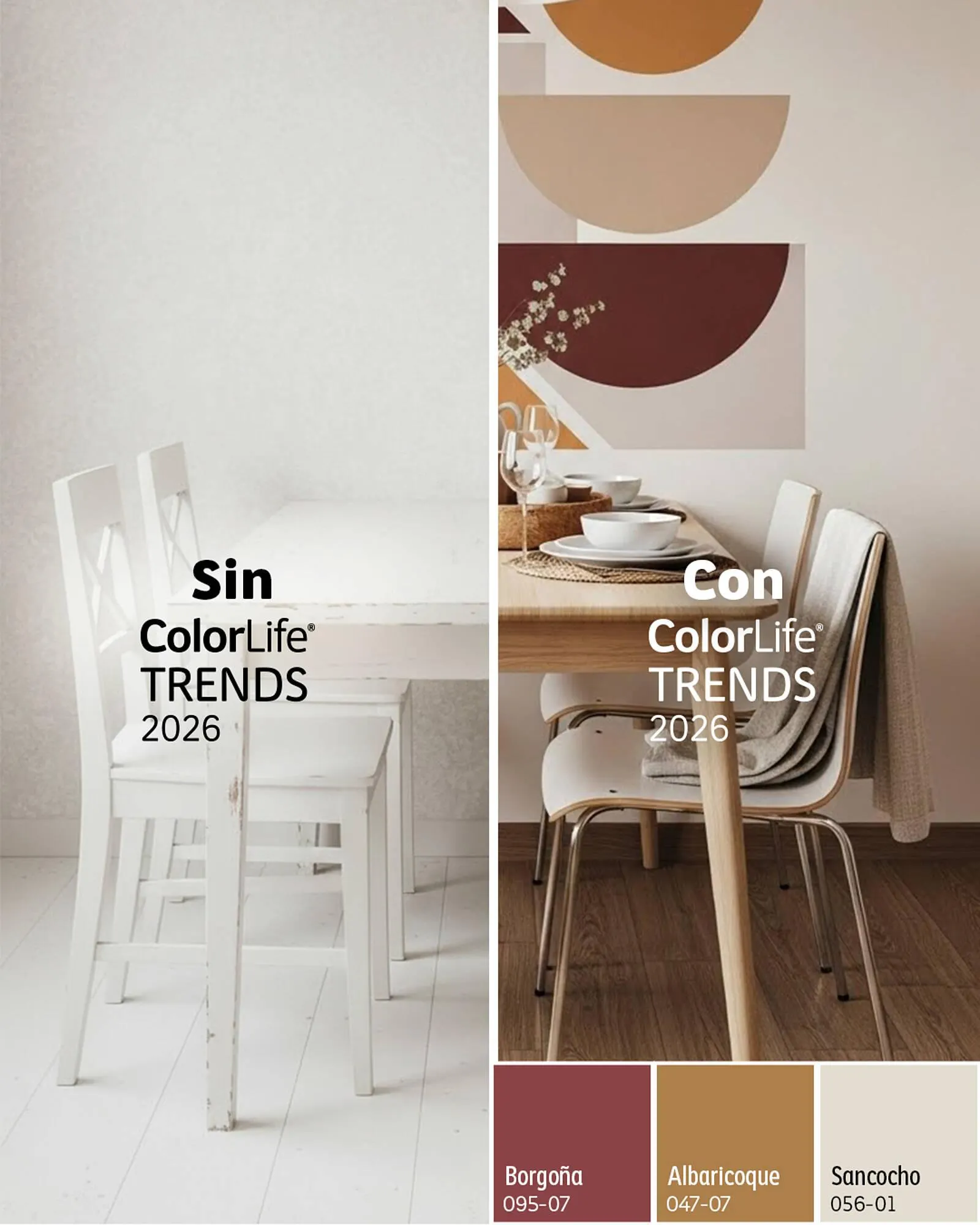 Catálogo de Catálogo Comex 16 de enero al 31 de enero 2026 - Pagina 3