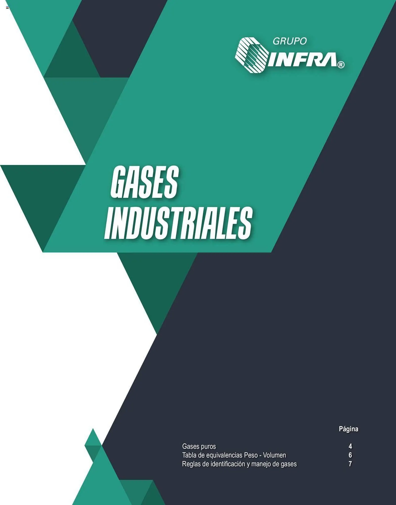 Catálogo de Catálogo Infra 4 de marzo al 31 de diciembre 2024 - Pagina 1