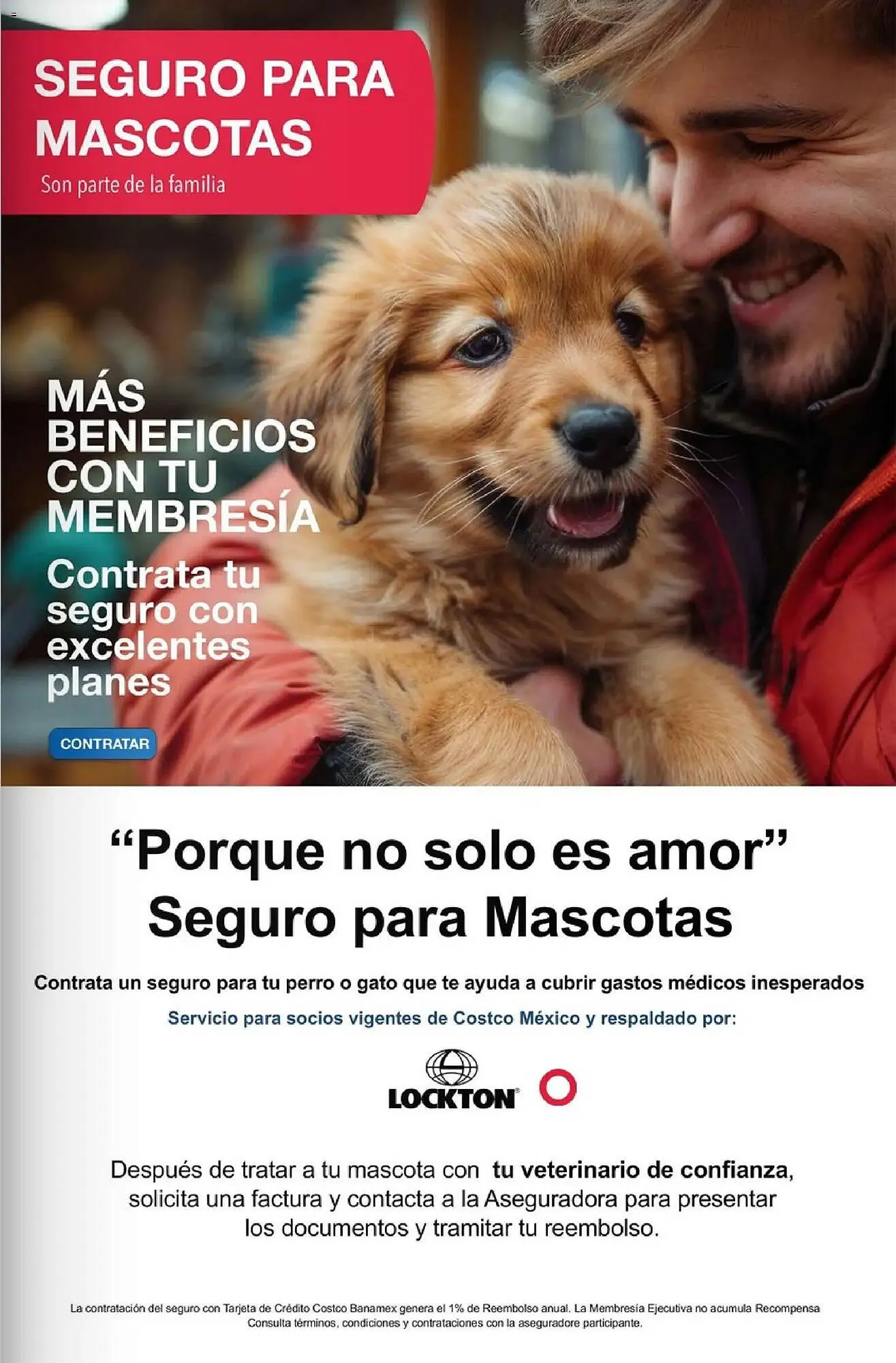 Catálogo de Catálogo Costco 1 de marzo al 1 de abril 2026 - Pagina 17