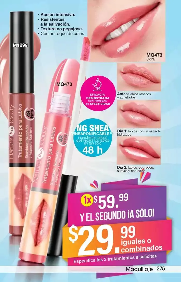 Catálogo de Arabela Campaña 11 2 de mayo al 15 de mayo 2025 - Pagina 249