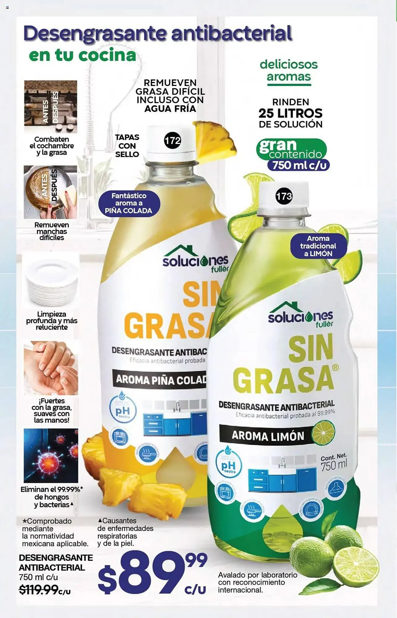 Catálogo de Catálogo Fuller 9 de julio al 30 de julio 2025 - Pagina 90