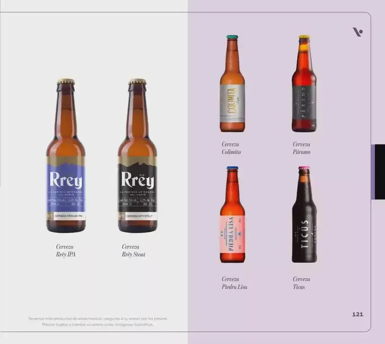 Catálogo de Catálogo 2025 5 de noviembre al 31 de diciembre 2025 - Pagina 121