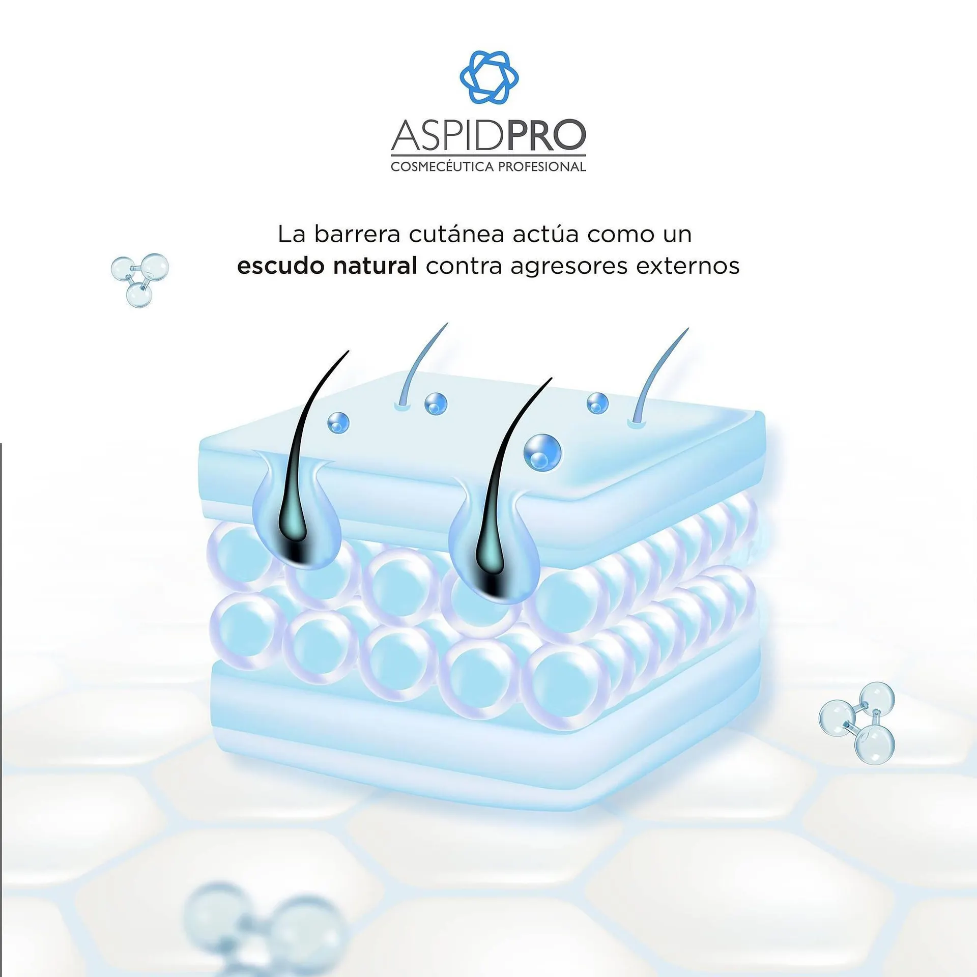 Catálogo de Catálogo AspidPro 7 de enero al 13 de enero 2026 - Pagina 2