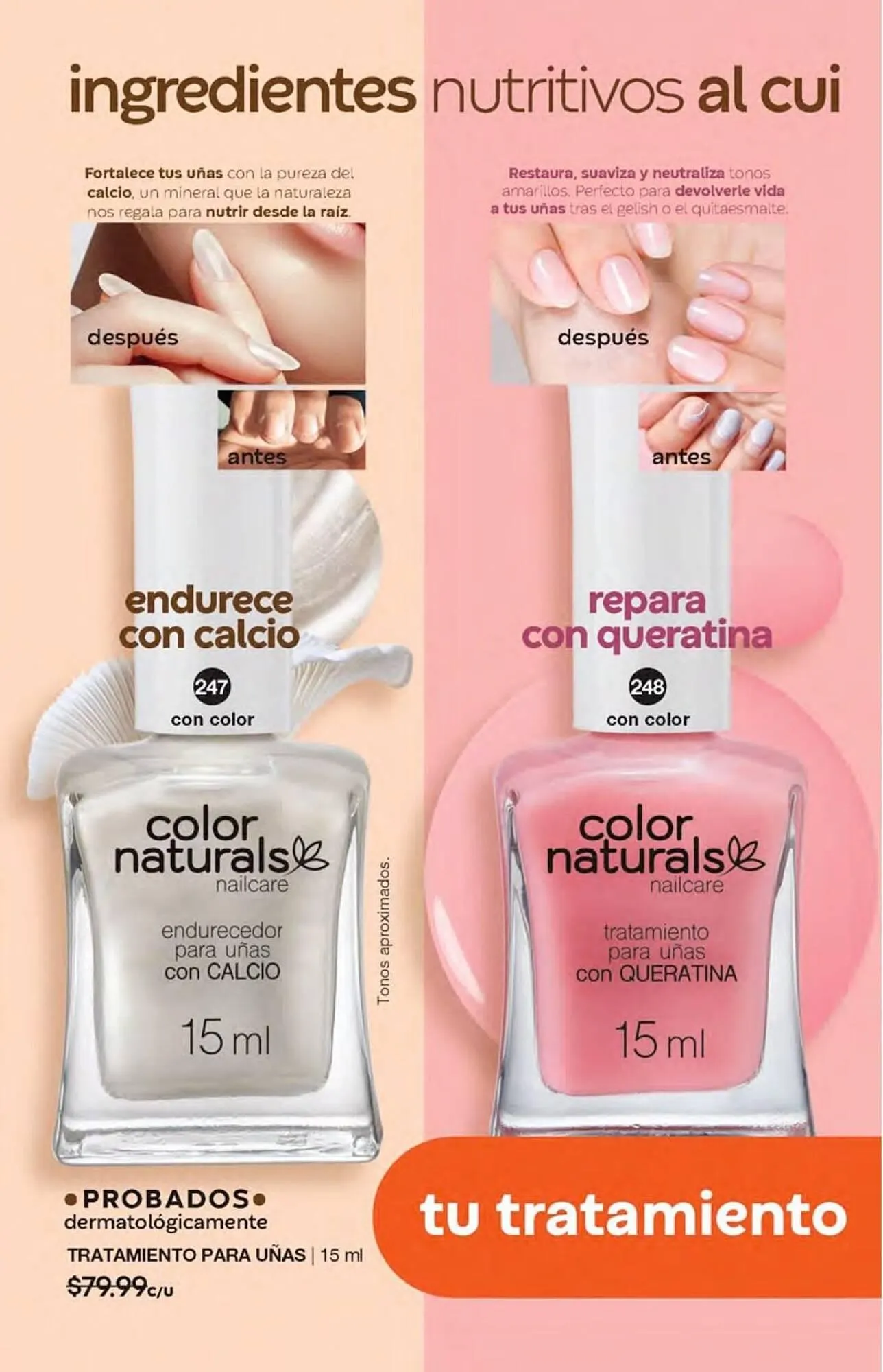 Catálogo de Catálogo Fuller 21 de agosto al 31 de octubre 2025 - Pagina 126