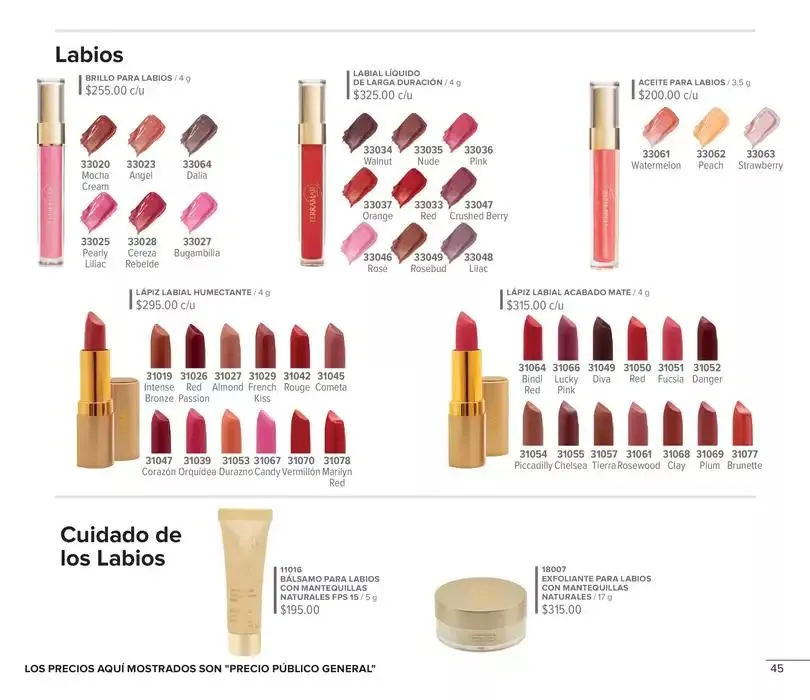 Catálogo de Folleto de mes 6 de enero al 31 de enero 2025 - Pagina 45