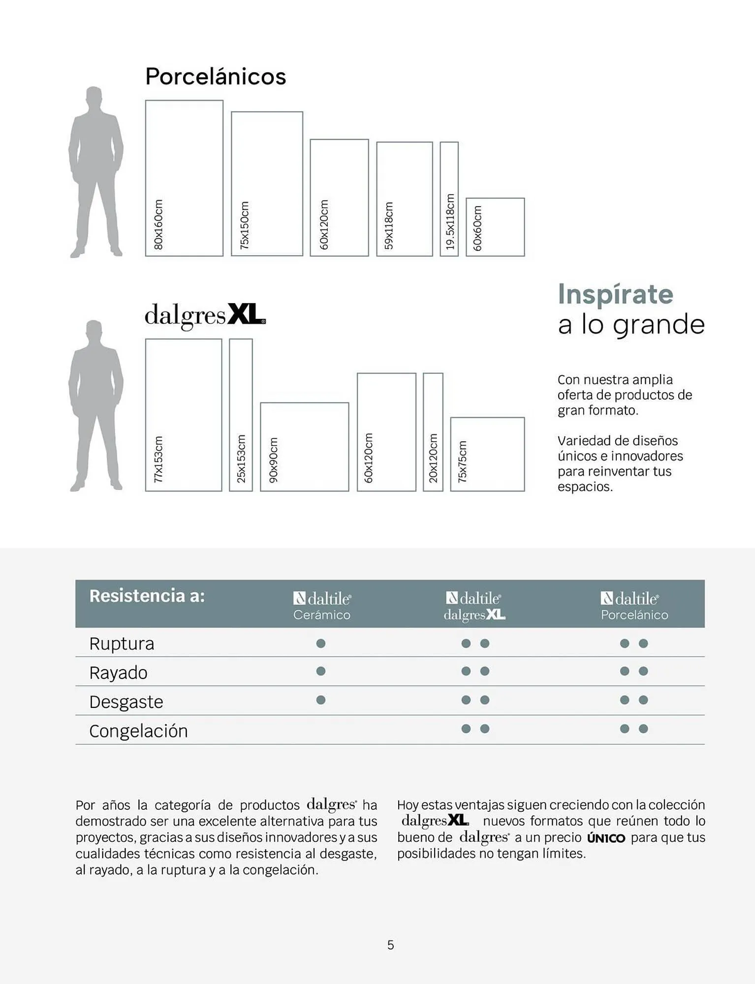 Catálogo de Catálogo Daltile 1 de enero al 31 de diciembre 2024 - Pagina 5