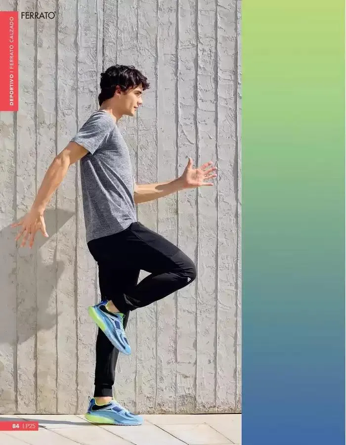 Catálogo de Gangas y ofertas actuales 1 de marzo al 31 de marzo 2025 - Pagina 84