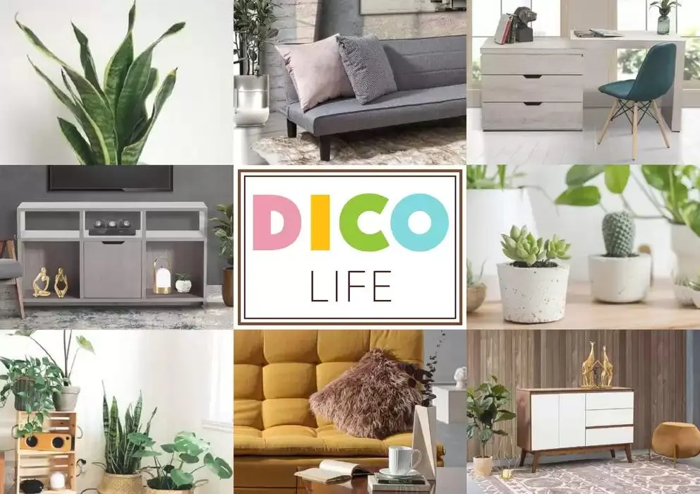 Catálogo de Muebles Dico Life Centro 8 de enero al 31 de enero 2025 - Pagina 1