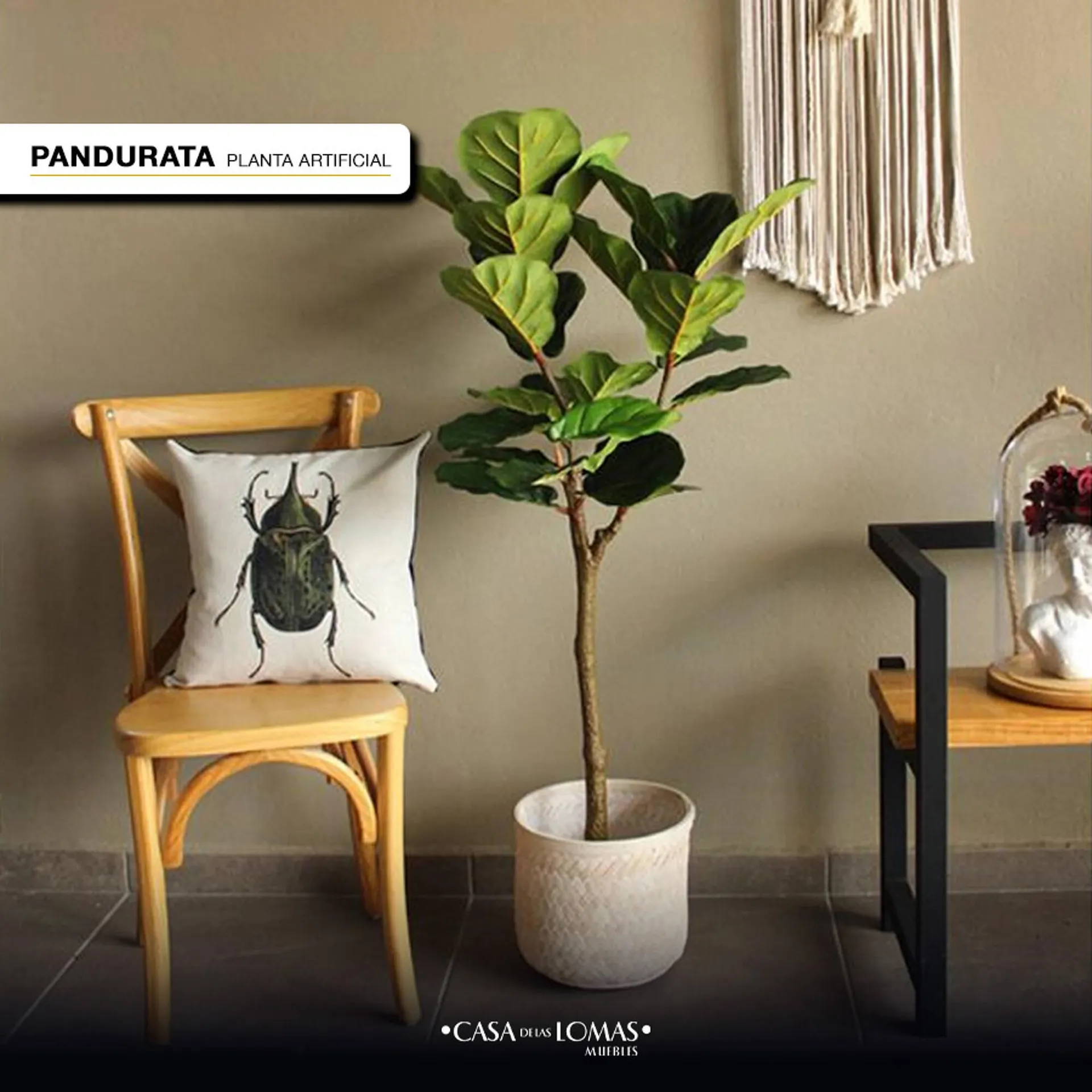 Catálogo de Catálogo Casa de las Lomas 12 de febrero al 20 de febrero 2026 - Pagina 4