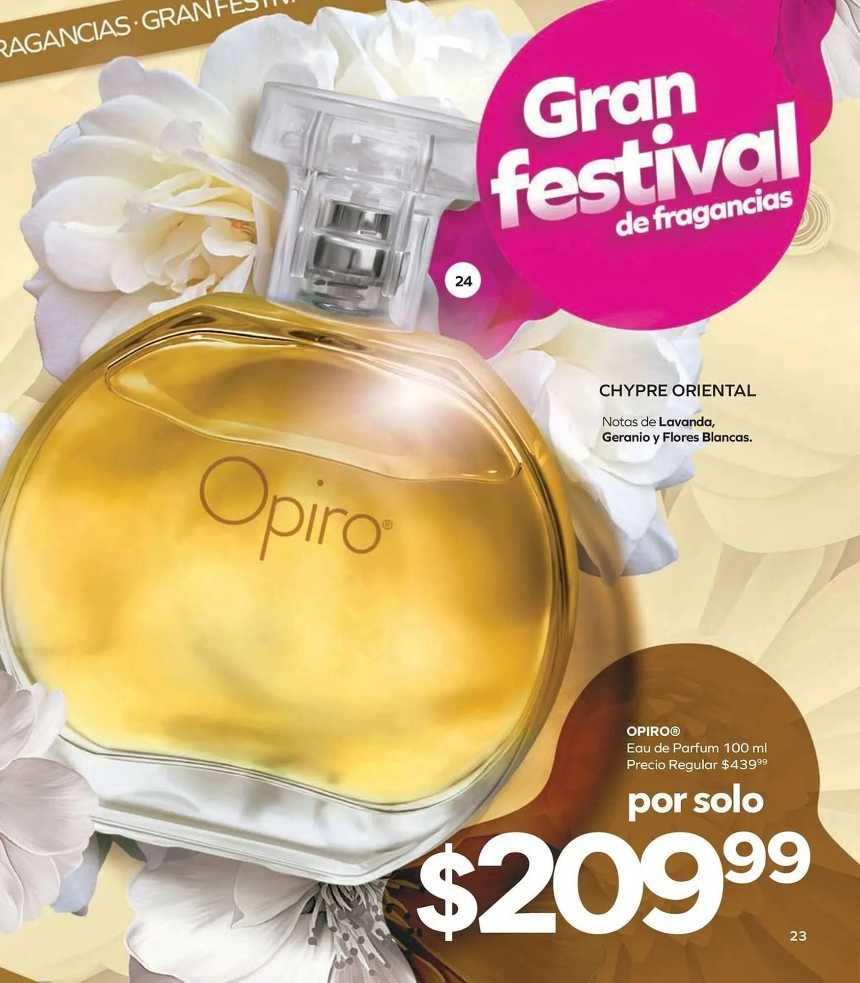 Catálogo de Catálogo Stanhome 19 de enero al 6 de febrero 2026 - Pagina 25