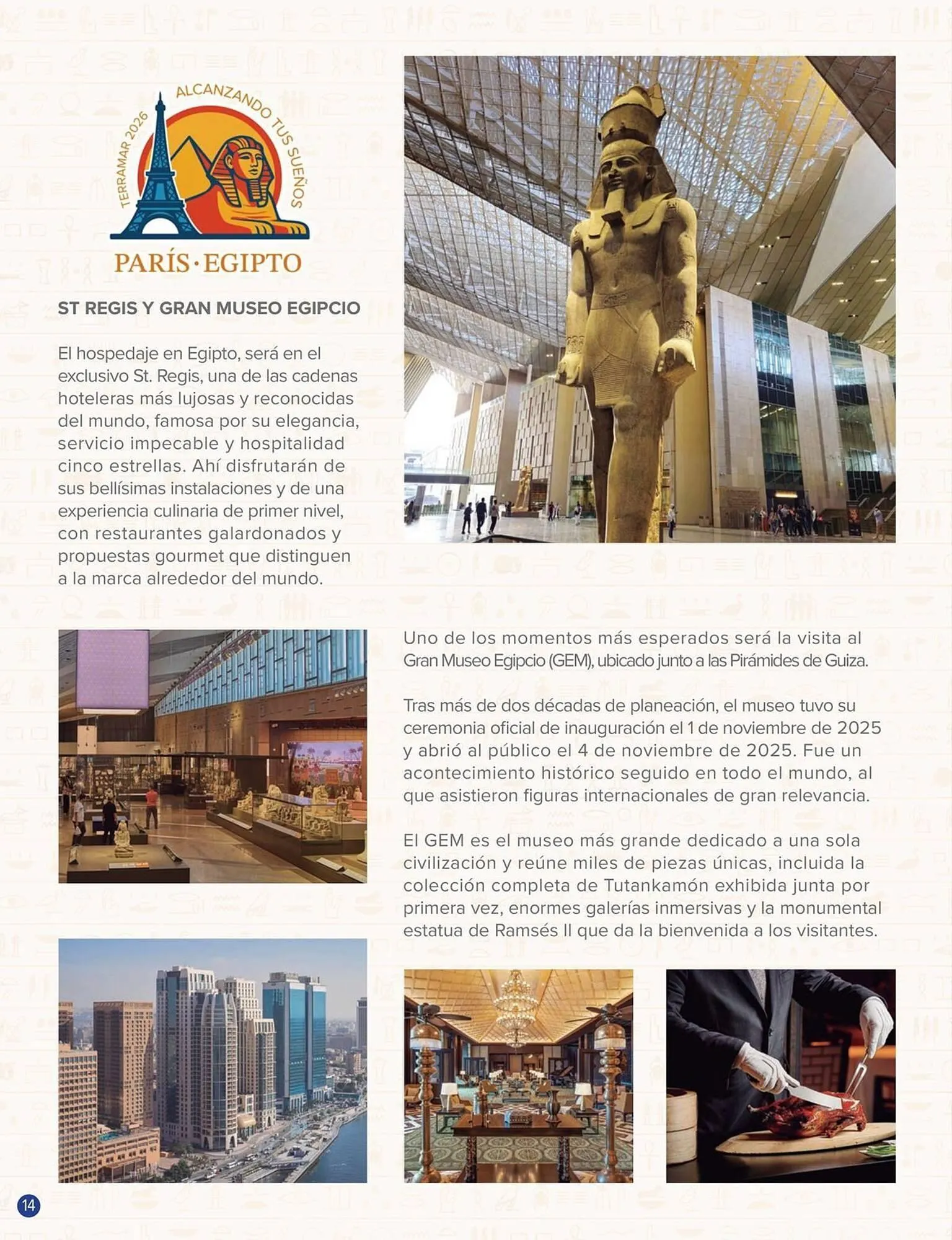 Catálogo de Catálogo Terramar Brands 1 de enero al 31 de enero 2026 - Pagina 14