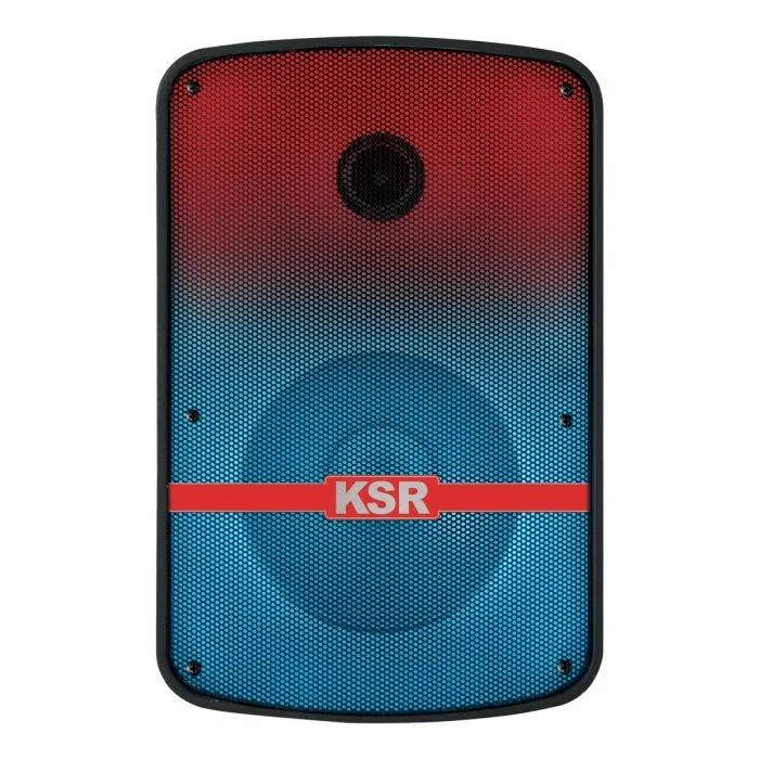 Bafle profesional 15" 30000 W PMPO KSR-LINK con micrófono alámbrico