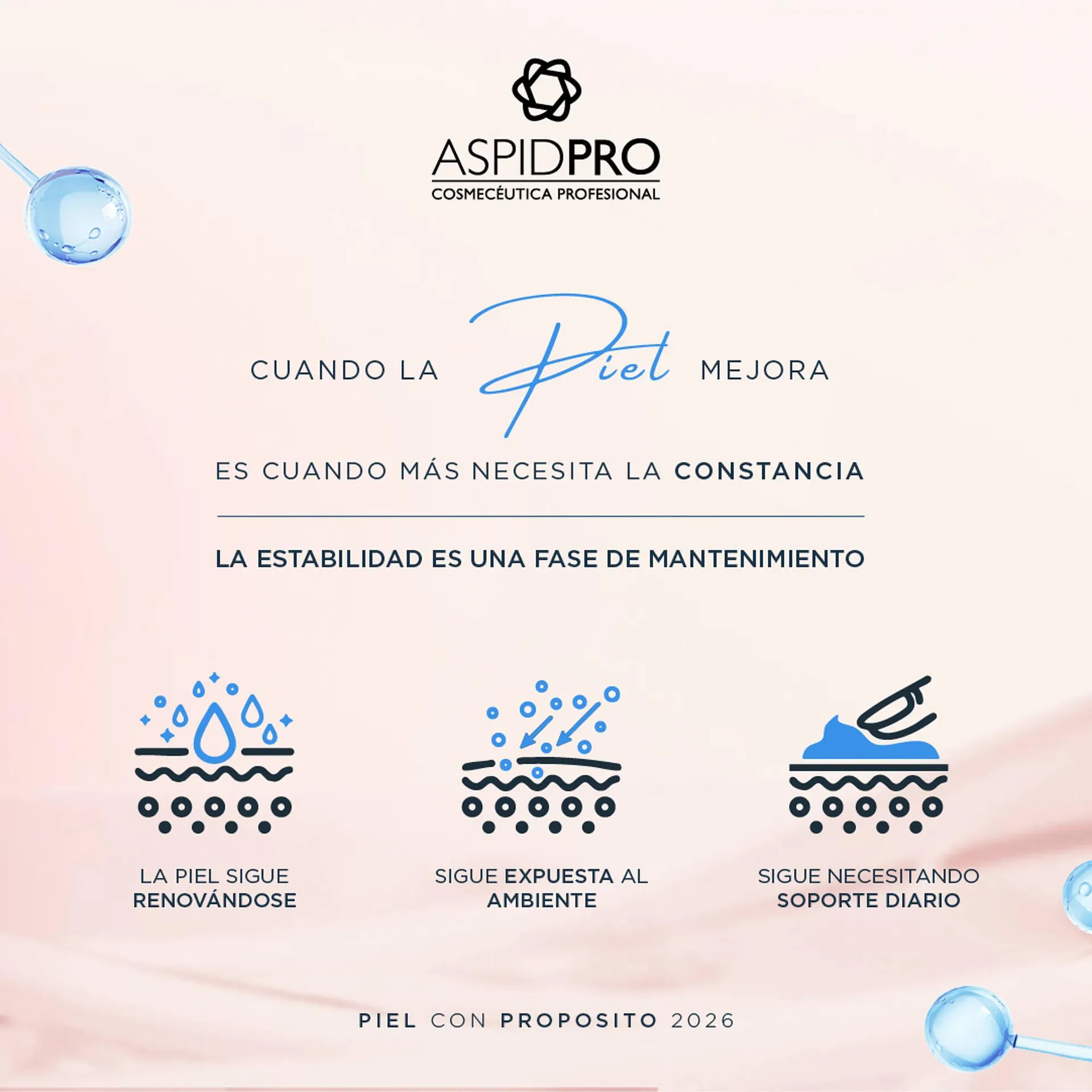 Catálogo de Catálogo AspidPro 15 de enero al 31 de enero 2026 - Pagina 2