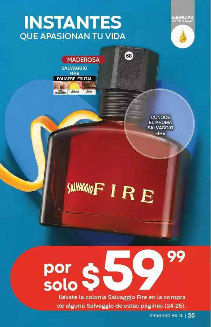 Catálogo de Fuller CAMPAÑA 19 27 de diciembre al 14 de enero 2025 - Pagina 97