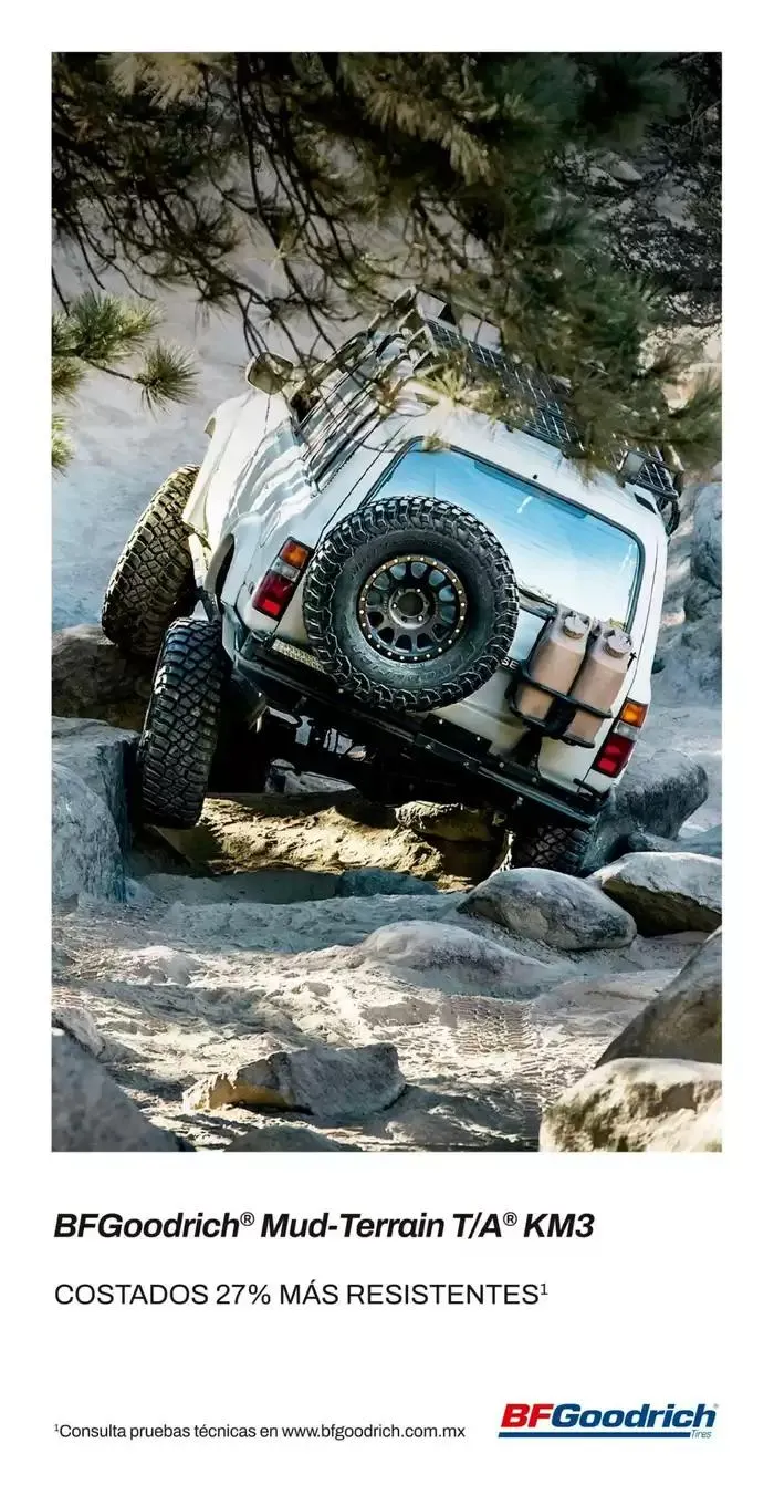 Catálogo de Cuponera Costco 27 de diciembre al 19 de enero 2025 - Pagina 8