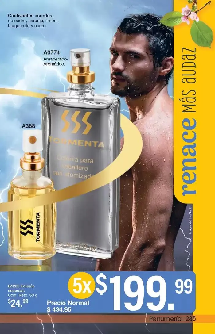 Catálogo de Arabela Campaña 08 24 de marzo al 5 de abril 2025 - Pagina 257