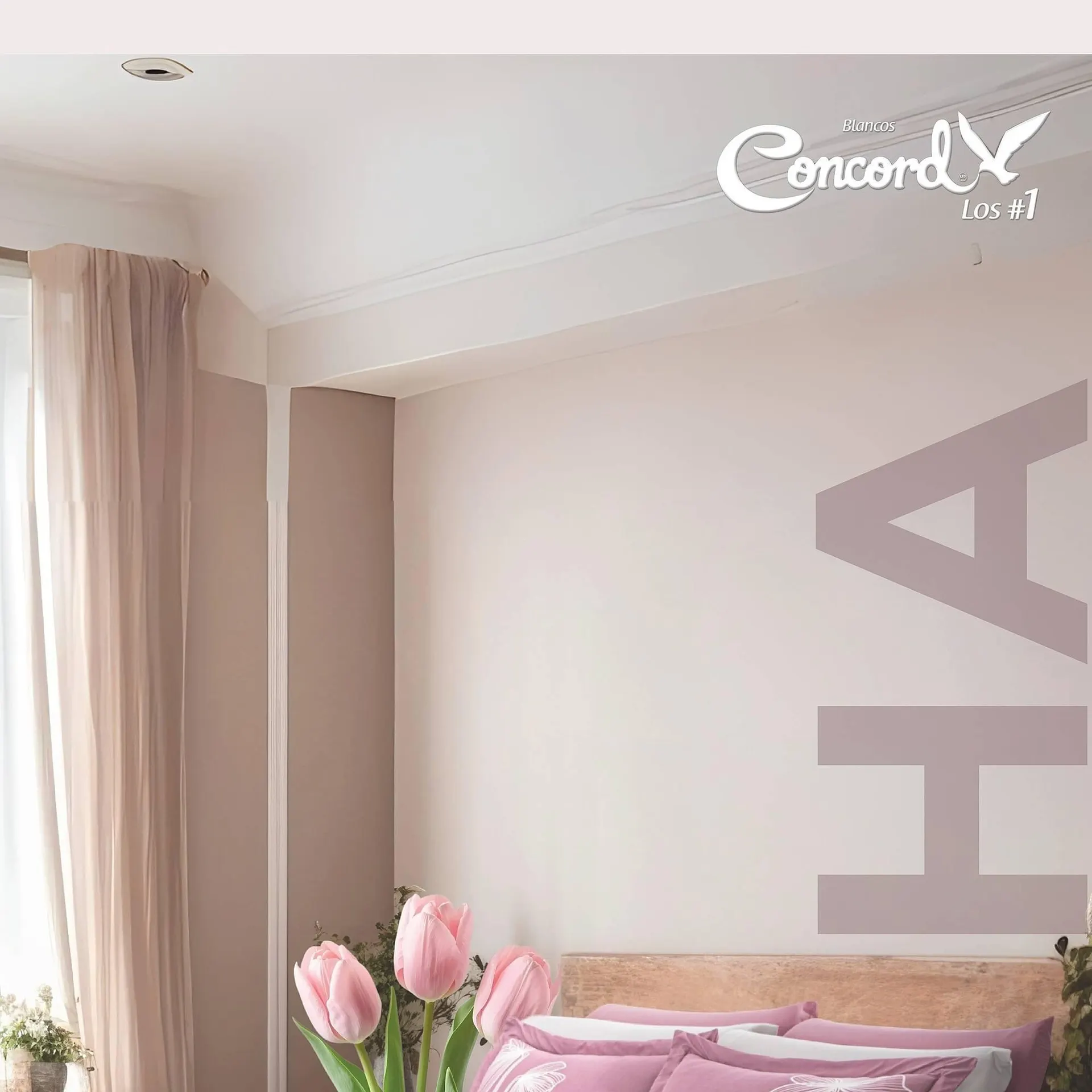 Catálogo de Catálogo Colchas Concord 31 de marzo al 13 de abril 2026 - Pagina 2