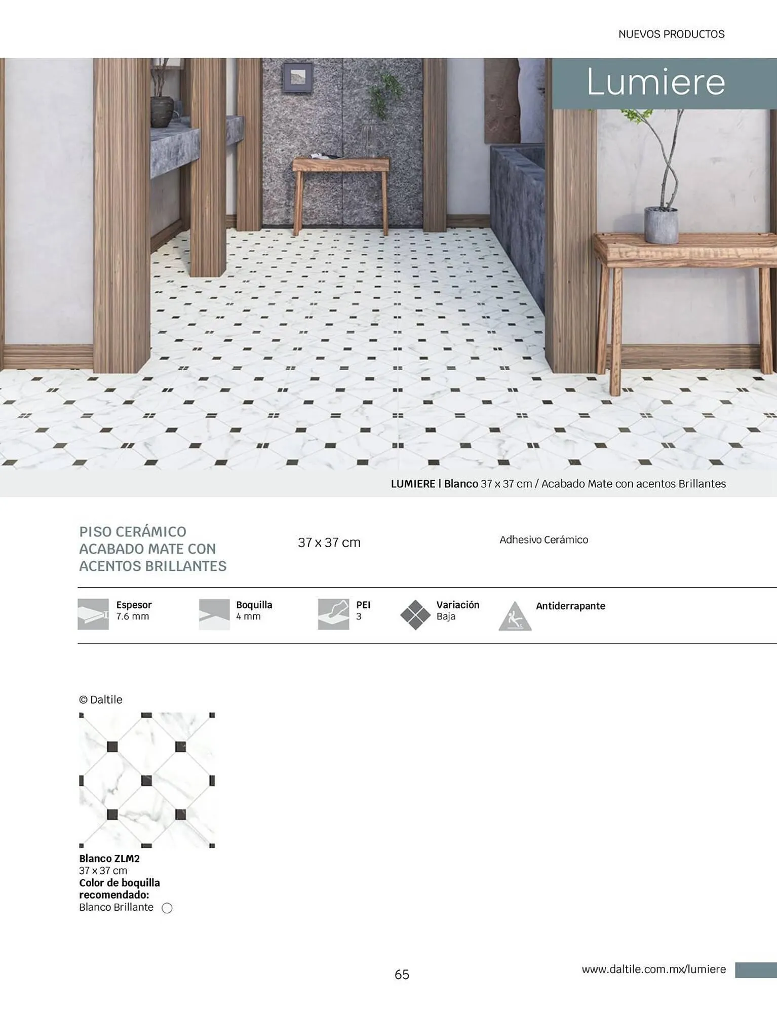 Catálogo de Catálogo Daltile 1 de enero al 31 de diciembre 2024 - Pagina 65
