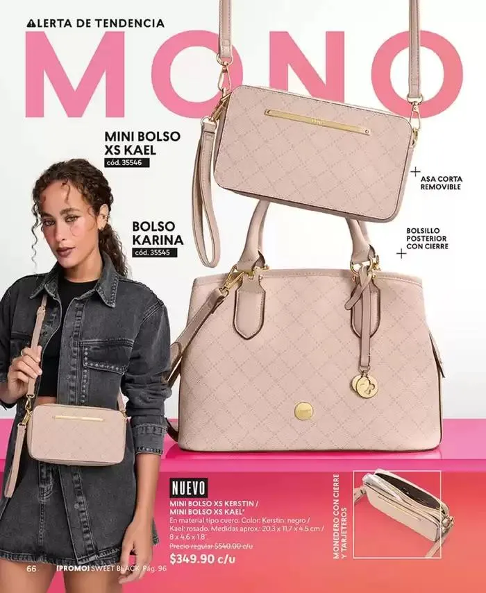 Catálogo de Catálogo Cyzone México C04 6 de febrero al 31 de diciembre 2025 - Pagina 66