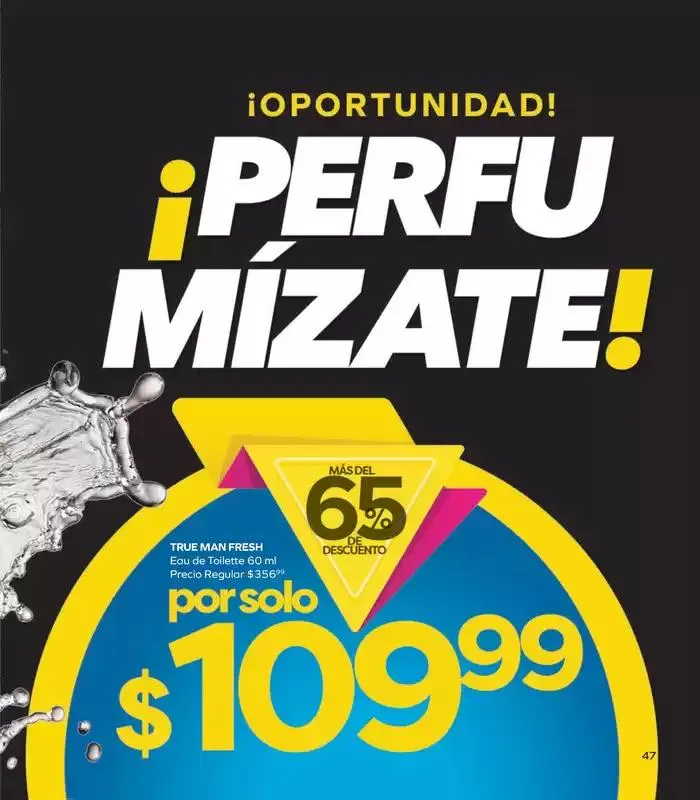 Catálogo de Stanhome - C16 15 de octubre al 1 de noviembre 2024 - Pagina 49